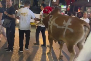 穿得越粉打球越狠，刘韦江踩着小粉鞋狂砍分数！