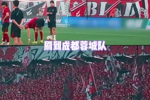 成都蓉城球迷亚冠客场观赛扔水瓶!俱乐部被亚足联罚款